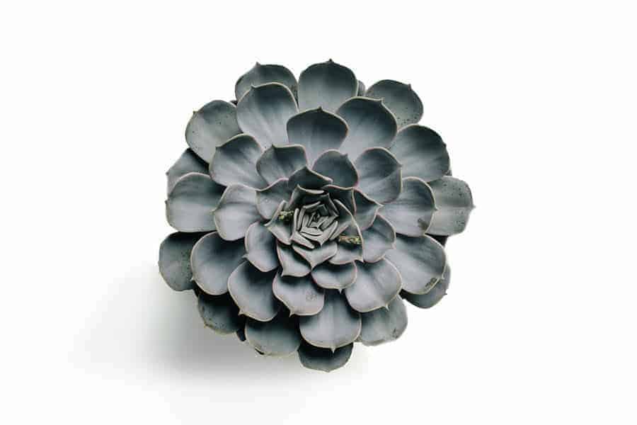 Addiction treatment options 