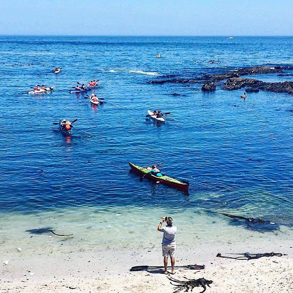 Kayaking cape town