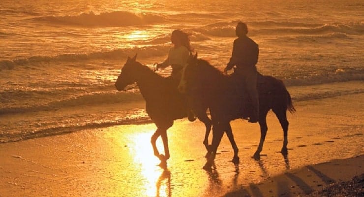 Design Ideas for Preparing Your Property for a Pet Horse