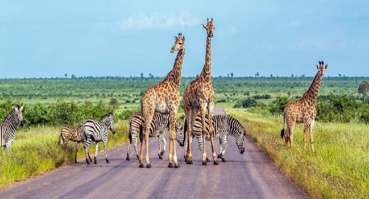 Three Amazing Spots to Visit During Your Stay in South Africa