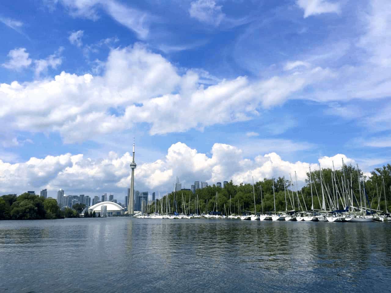 Toronto sectret food tours